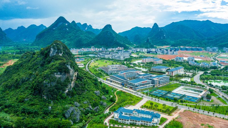 电子批量代工：价格构成的奥秘解析**