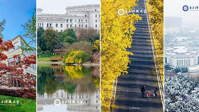 上海电子科技公司研发外包：揭秘其优势与选择要点**
